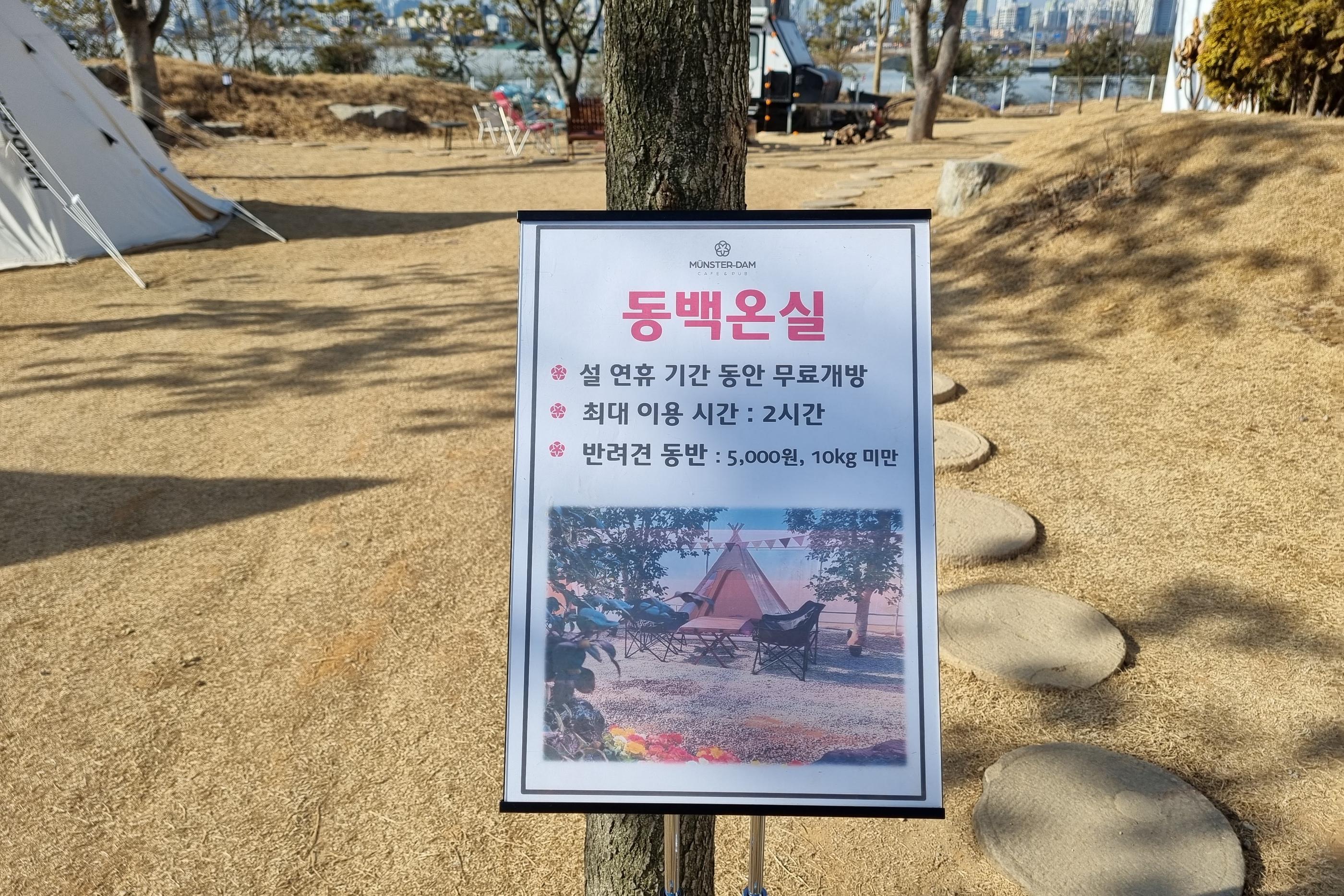 パジュカフェ、韓国カフェ、韓国大型のカフェ、韓国大型カフェ、ソウル近郊カフェ、ソウル郊外カフェ、ミンスターダム、Münster-dam、뮌스터담