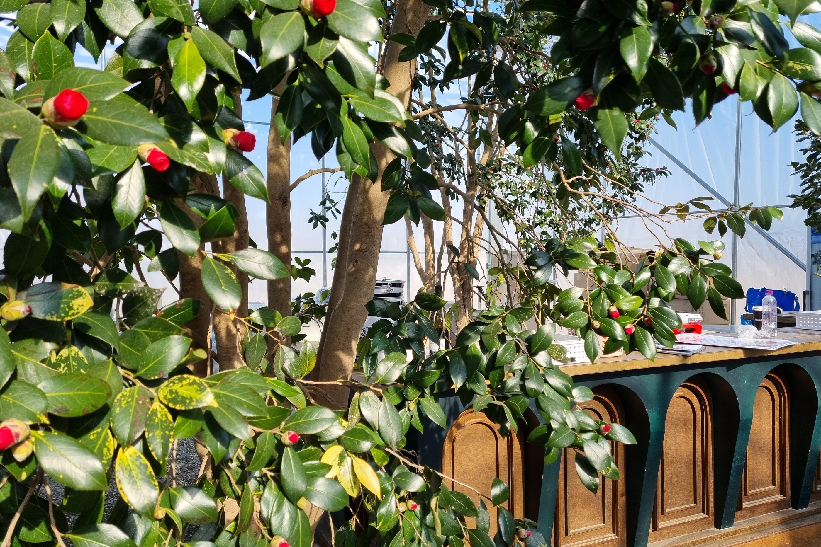 パジュカフェ、韓国カフェ、韓国大型のカフェ、韓国大型カフェ、ソウル近郊カフェ、ソウル郊外カフェ、ミンスターダム、Münster-dam、뮌스터담