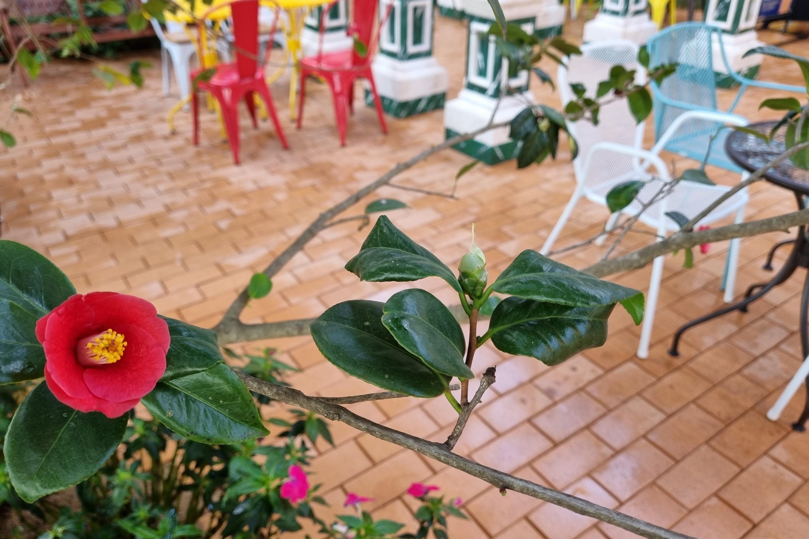 パジュカフェ、韓国カフェ、韓国大型のカフェ、韓国大型カフェ、ソウル近郊カフェ、ソウル郊外カフェ、ミンスターダム、Münster-dam、뮌스터담