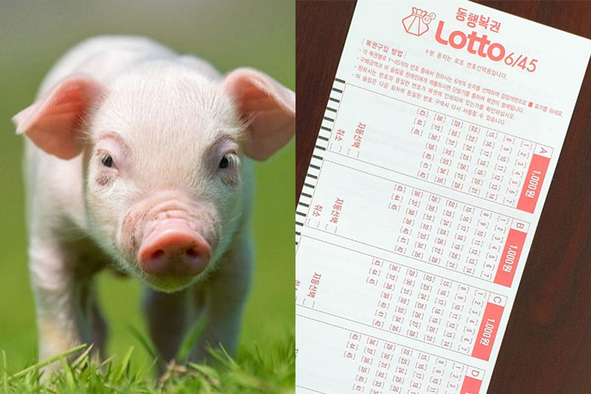 韓国、韓国文化、韓国習慣、韓国人、韓国ルール、韓国規則、韓国決まり、韓国迷信、パリパリ文化