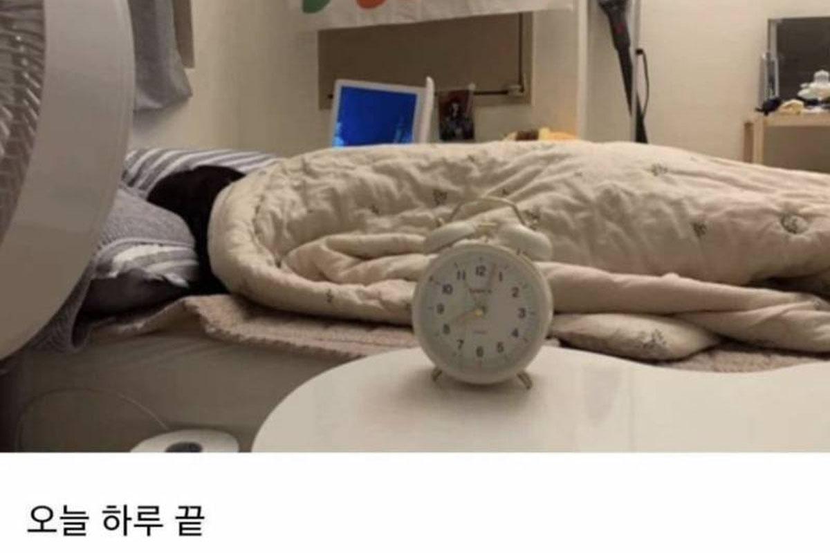 韓国、韓国文化、韓国社会、MBTI、ミーム、MEME、韓国SNS、韓国ネット、性格診断テスト