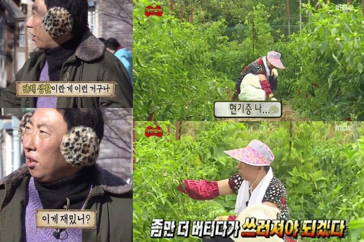 韓国、韓国文化、韓国社会、MBTI、ミーム、MEME、韓国SNS、韓国ネット、性格診断テスト