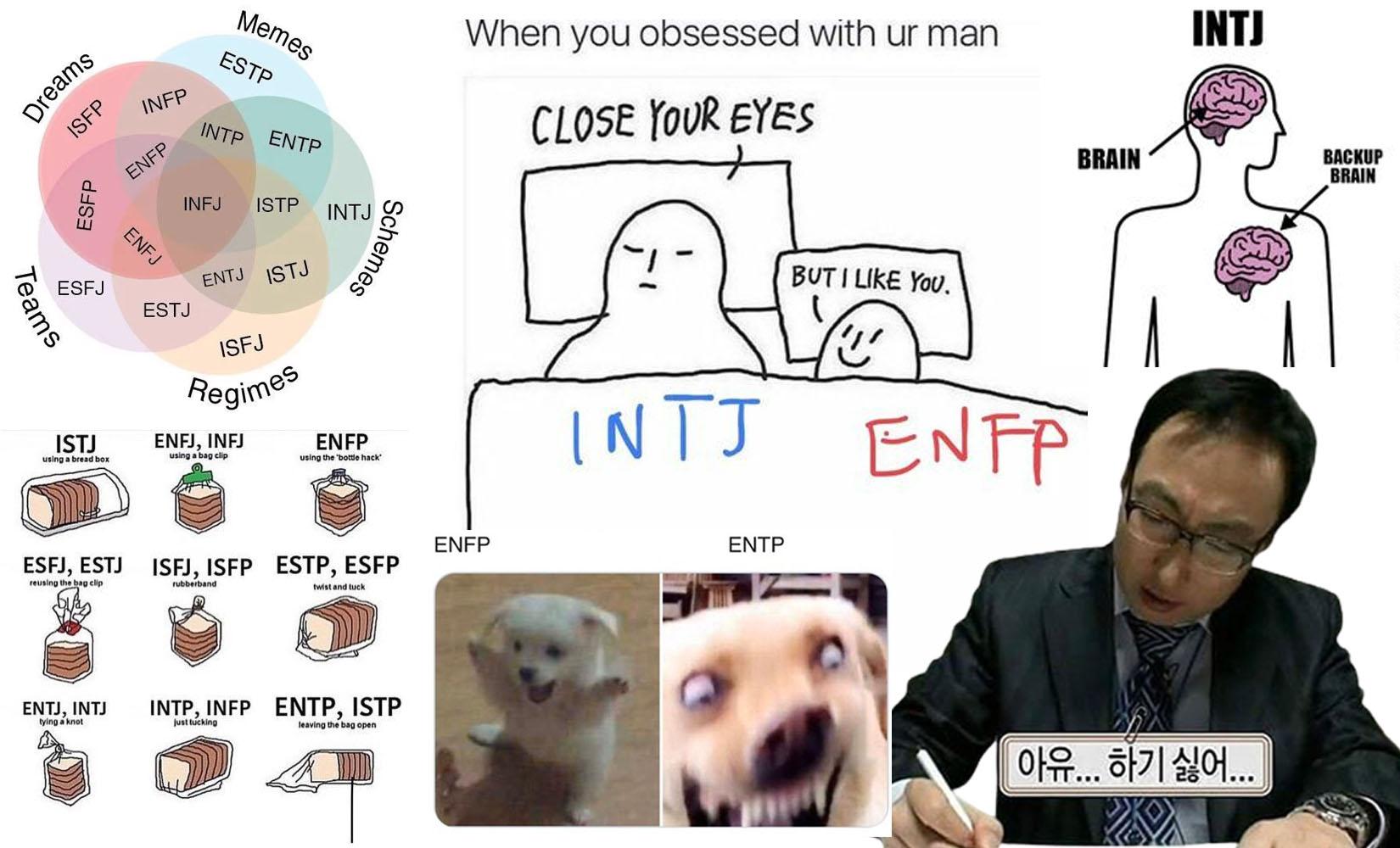 Creatrip 韓国で有名なmbtiのミーム Meme