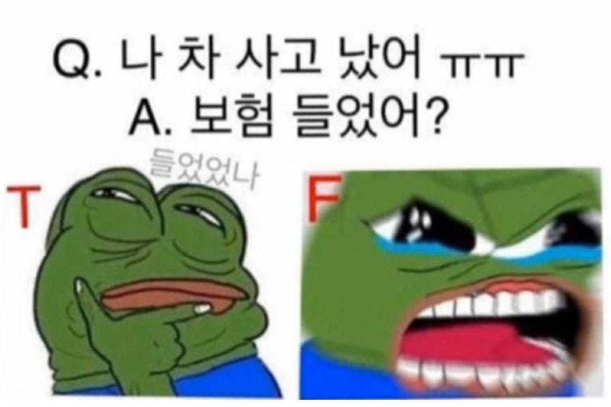 韓国、韓国文化、韓国社会、MBTI、ミーム、MEME、韓国SNS、韓国ネット、性格診断テスト