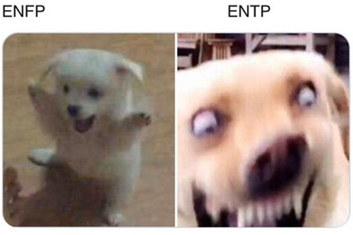 韓国、韓国文化、韓国社会、MBTI、ミーム、MEME、韓国SNS、韓国ネット、性格診断テスト