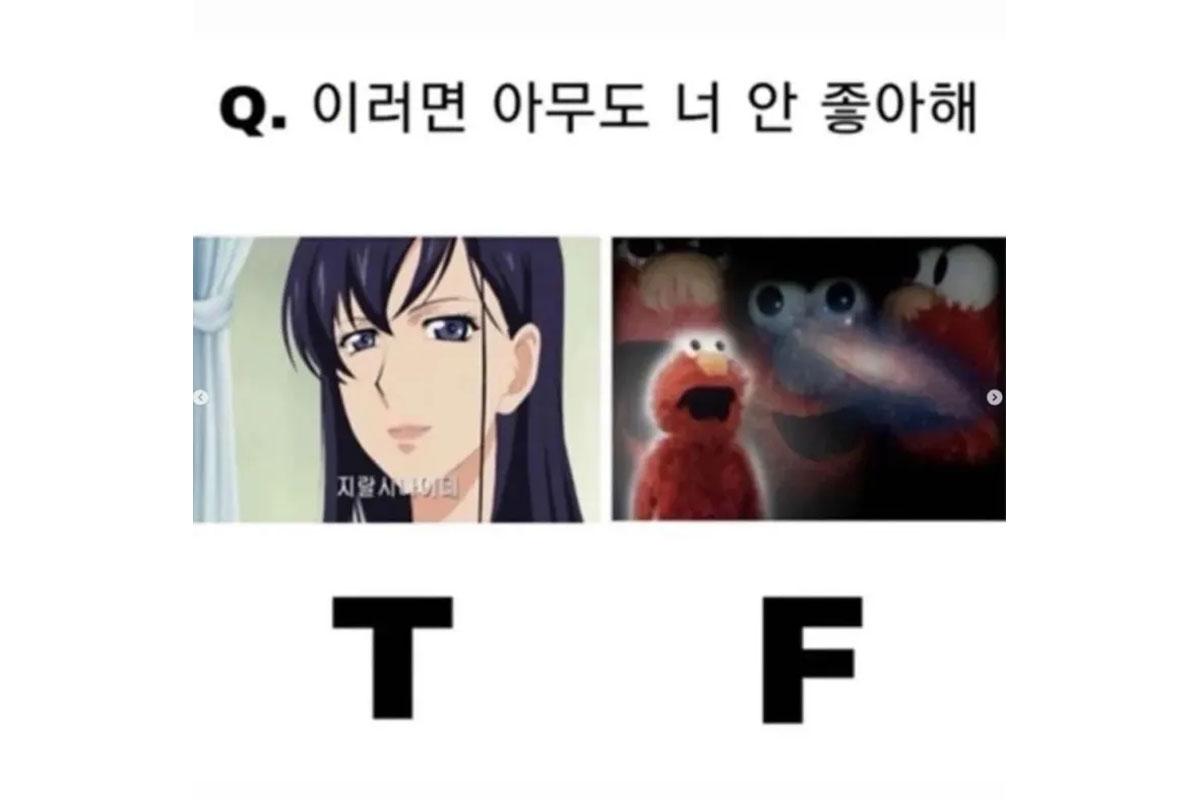 韓国、韓国文化、韓国社会、MBTI、ミーム、MEME、韓国SNS、韓国ネット、性格診断テスト