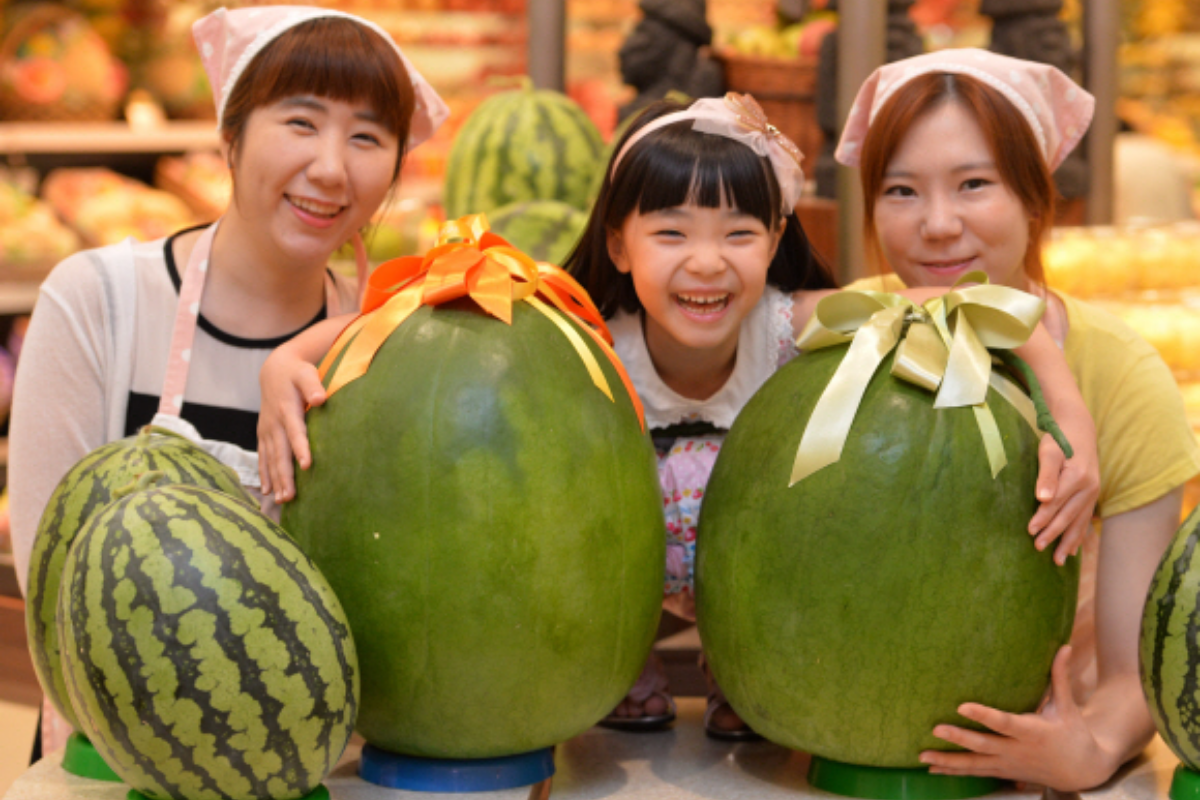 dưa hấu mudeungsan đắt nhất hàn quốc