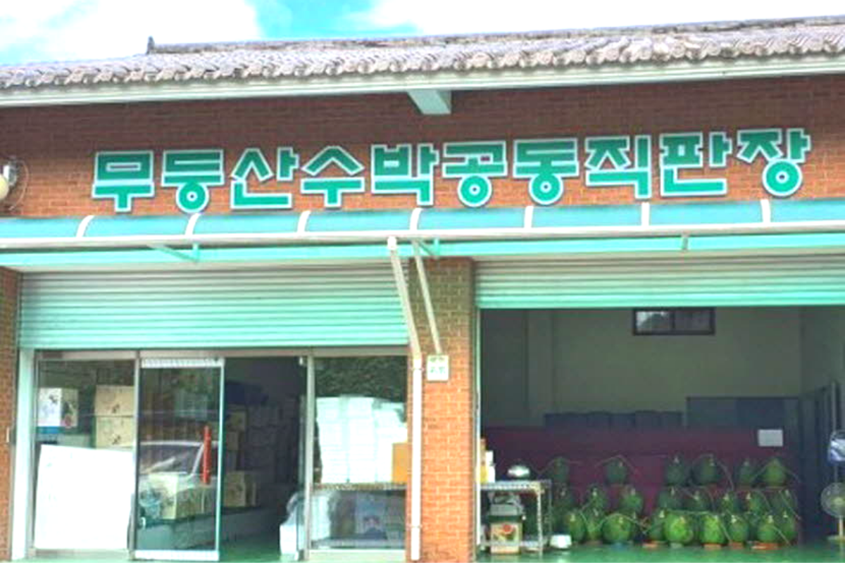 dưa hấu mudeungsan đắt nhất hàn quốc được bán tại chợ đầu mối (공동직판장) ở Geumgok-dong (금곡동)