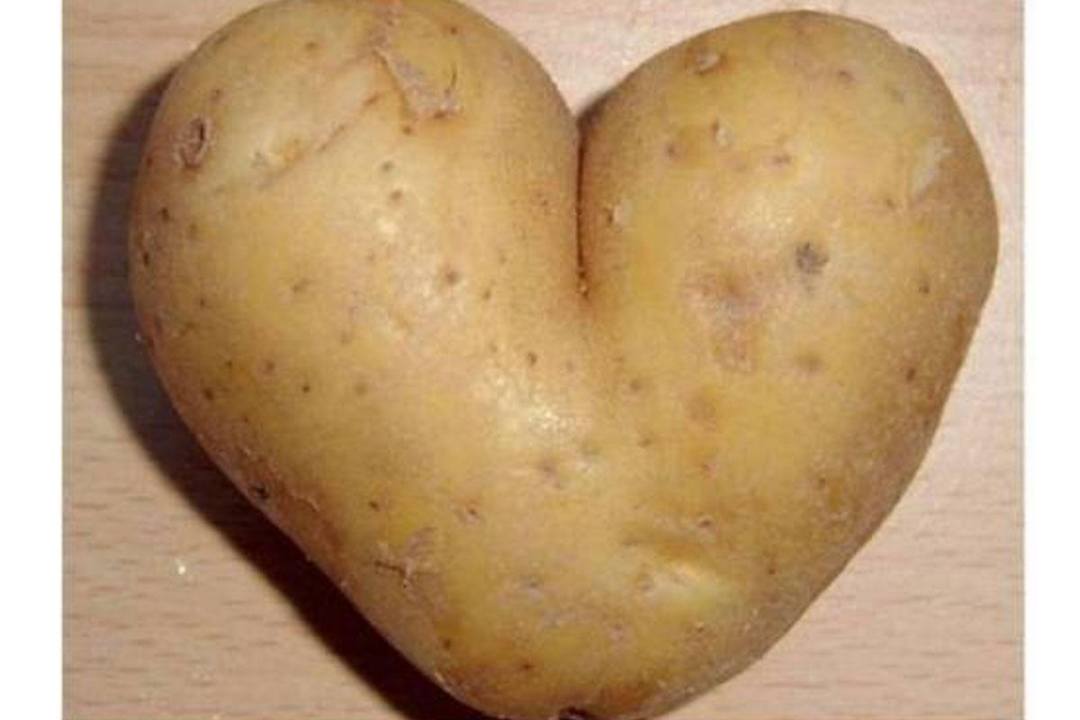 韓国、韓国文化、韓国人、韓国地域、韓国人特徴、方言、京畿道、慶尚道、江原道、忠清道、済州島、韓国人性格、ソウル