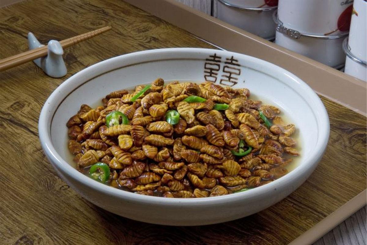 韓国、韓国文化、コンデ、世代間の葛藤、韓国社会、韓国先輩後輩、韓国会社