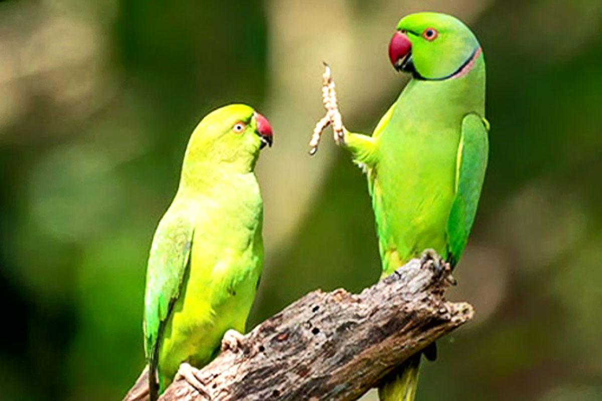 韓国、韓国文化、コンデ、世代間の葛藤、韓国社会、韓国先輩後輩、韓国会社