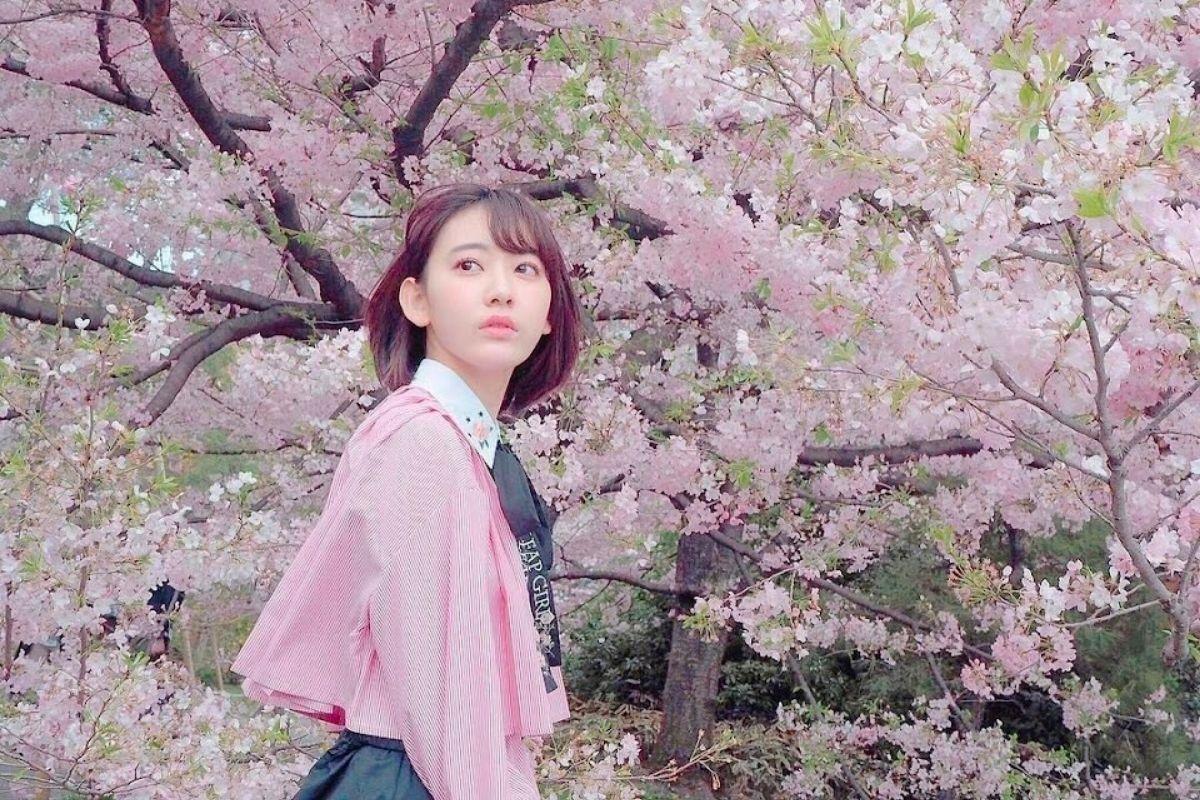 izone sakura chụp ảnh với hoa anh đào với áo màu hồng