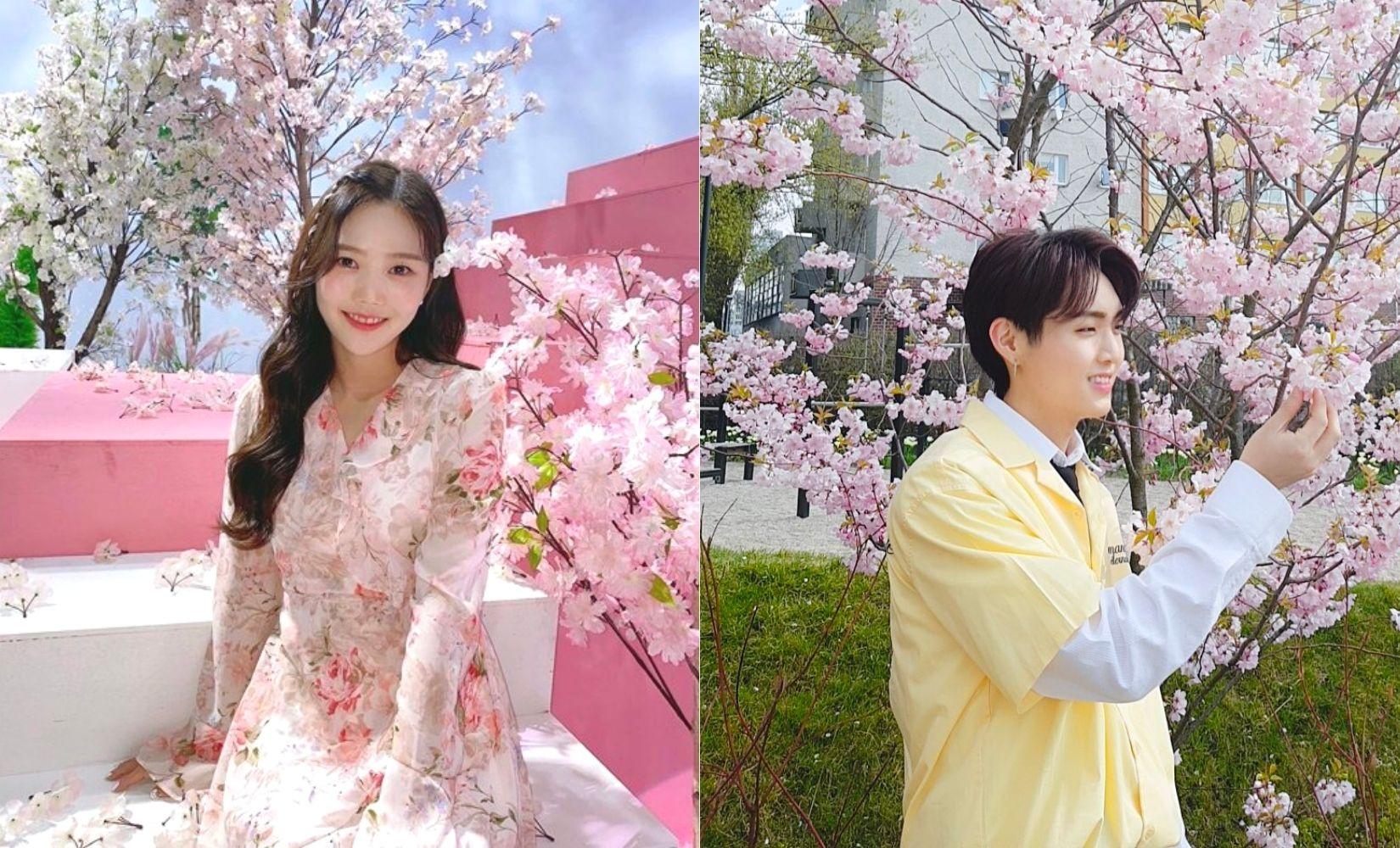 4 tông màu quần áo cực hợp với chụp ảnh hoa anh đào mùa xuân 2023