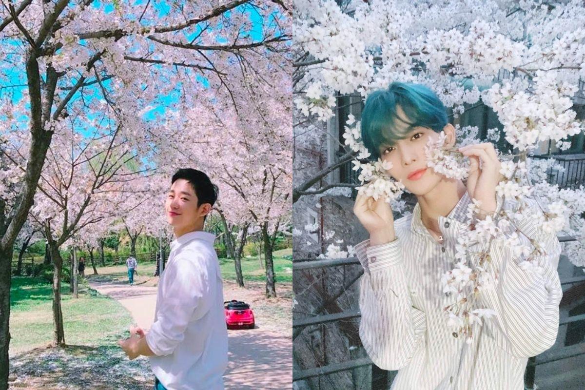 jung hae ịn và bae jin young chụp ảnh với hoa anh đào