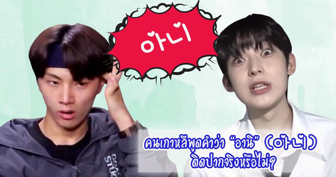 คนเกาหลีพูดคำว่า "อานิ"(아니) ติดปากจริงหรือไม่?