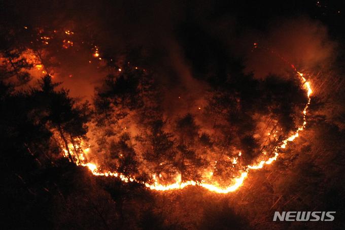 韓国、江原道での大規模な山火事の現場。炎が激しく燃え盛り、多くの森林が影響を受けています。消防士たちは過酷な条件下で消火活動に取り組んでいます。