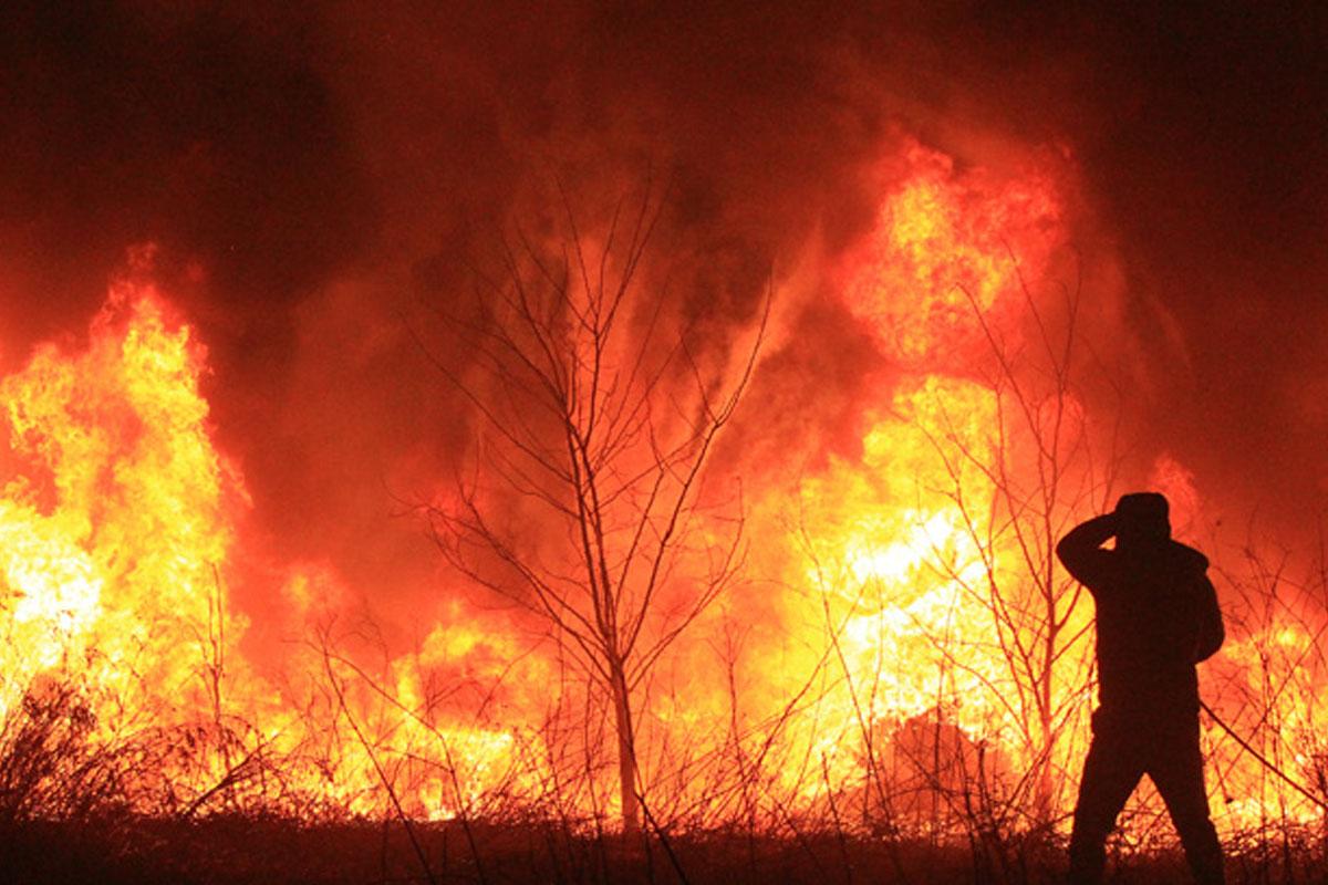 ไฟไหม้เกาหลี