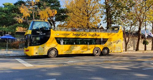 首爾 觀光巴士 車票 2023