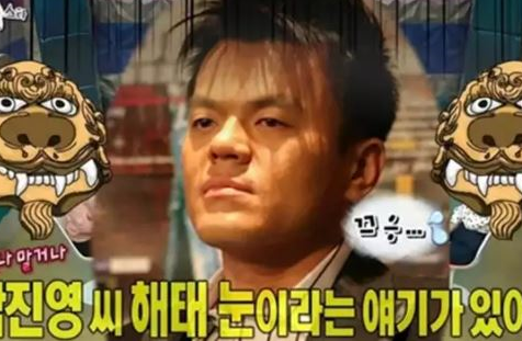 YGエンターテイメント、YG、JYP、JYPエンターテイメント、SM、SMエンターテイメント、kpop、ウェンディ、イジュンギ、パクジニョン、イスマン、パクボゴㇺ、ウォンビン、オーデションで落ちた、オーデション、IU、アイユ、Rain、ピ、チョンハ、オーデション