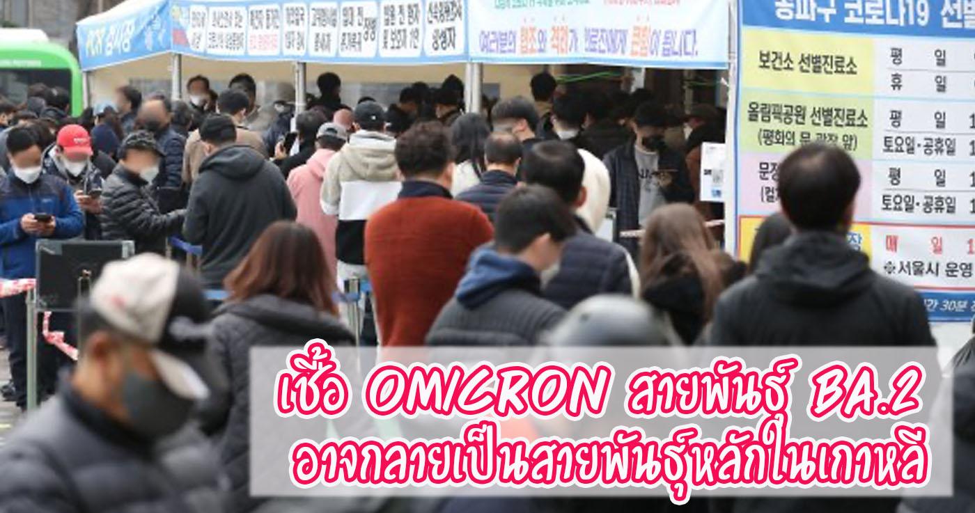 Omicron สายพันธุ์ BA.2 อาจกลายเป็นสายพันธุ์หลักในเกาหลี
