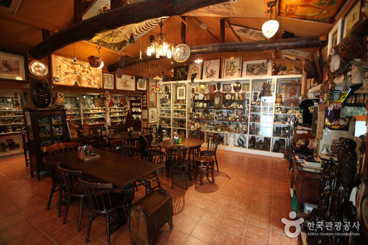 韓国、韓国旅行、韓国観光、ソウル、ソウル旅行、済州島、韓国博物館、不思議な博物館、おもしろ博物館、ハローキティ、韓国トイレ博物館、みみずく博物館