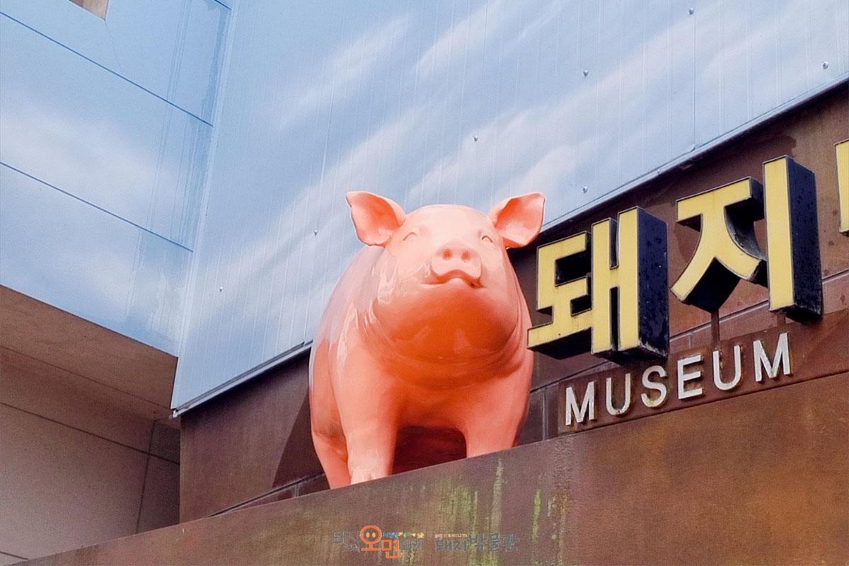 韓国、韓国旅行、韓国観光、ソウル、ソウル旅行、済州島、韓国博物館、不思議な博物館、おもしろ博物館、ハローキティ、韓国トイレ博物館、みみずく博物館、韓国家具、韓国インテリア、フィギュア、韓国映画、ジャージャー麺、チャジャンミョン博物館、仁川チャイナタウン