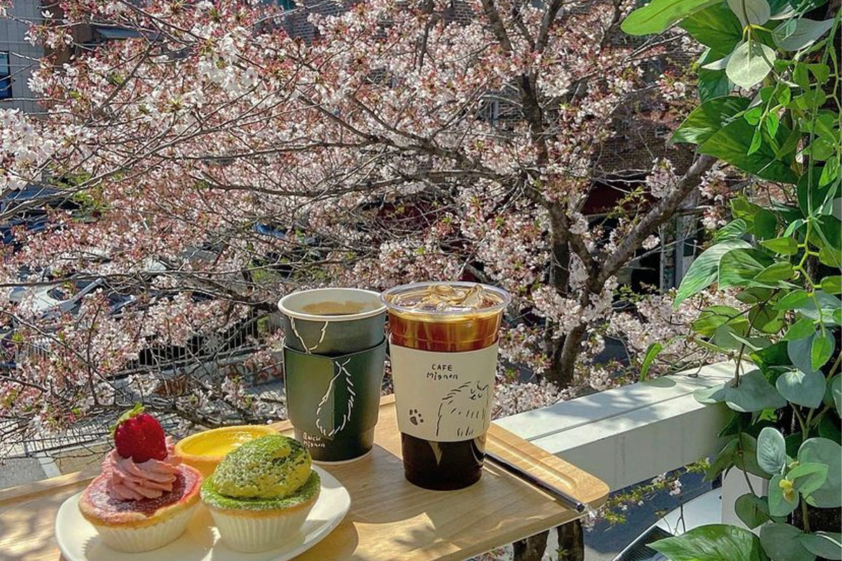 quán cafe ngắm hoa anh đào đẹp nhất Seoul quán cafe ngắm hoa anh đào đẹp nhất Seoul 