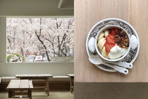 dear moment, quán cafe ngắm hoa anh đào đẹp nhất Seoul 