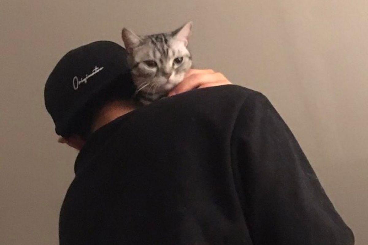 ฮโยซอบ: ความสนใจและสิ่งที่ชอบ