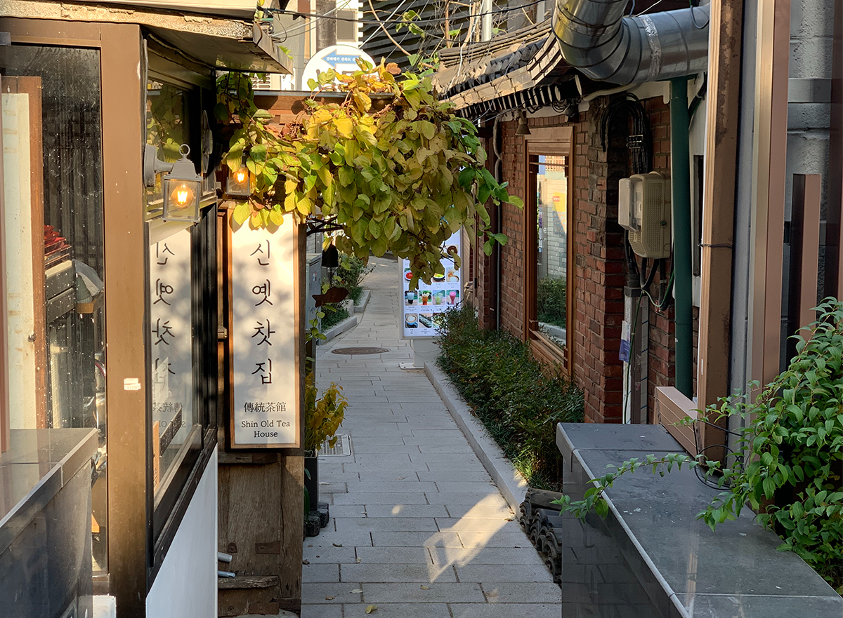 入口正面的樹葉覆蓋畫面，顯示出了古色古香的新老茶館氛圍。