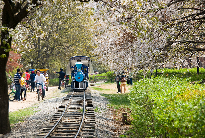 韓國行程推介 南怡島
