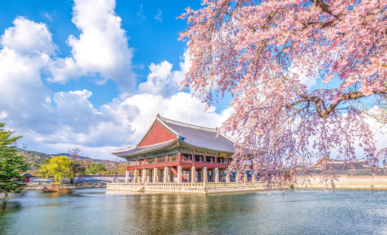 Những sự thật thú vị về cung điện Gyeongbokgung, Hàn Quốc!-thumbnail