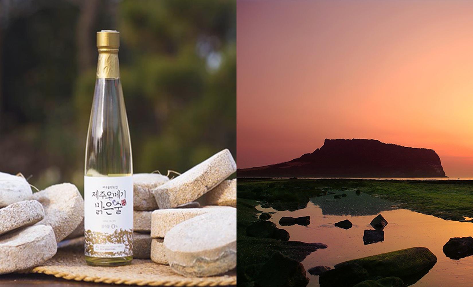 濟州傳統文化製酒一日遊