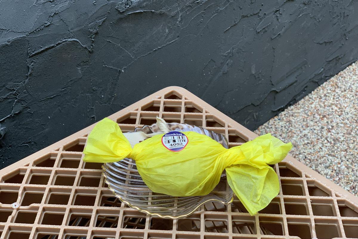 Motunui Island、ソウル、延南洞、延南洞カフェ、キャンプ、ピクニック、ペット同伴、よもぎ、きな粉、ティラミス