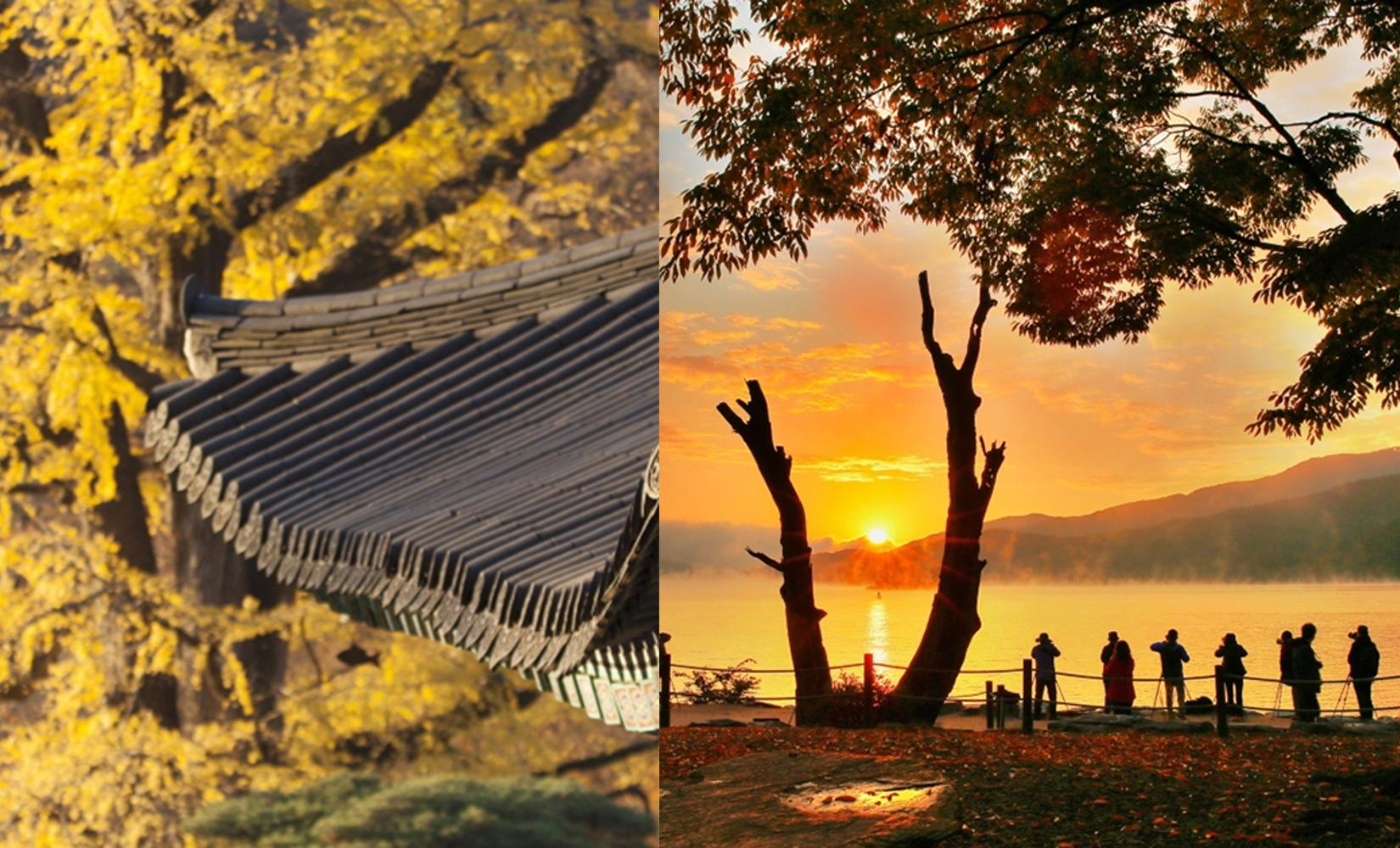 楊平&江原道2日1夜遊