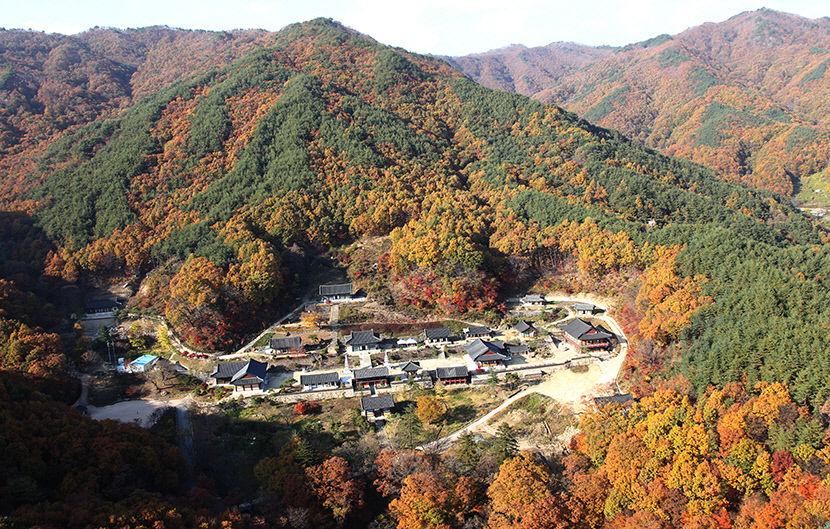 韓国、韓国旅行、楊平、江原道、束草、韓国アクティビティ