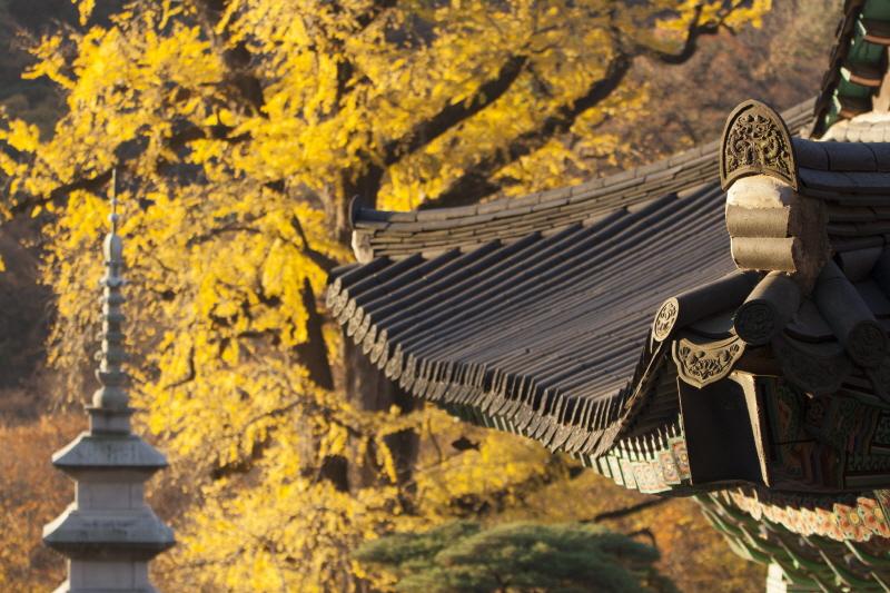 韓国、韓国旅行、楊平、江原道、束草、韓国アクティビティ