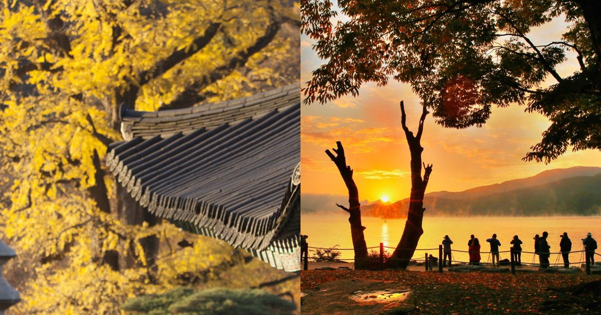 1泊2日楊平＆江原道ツアー