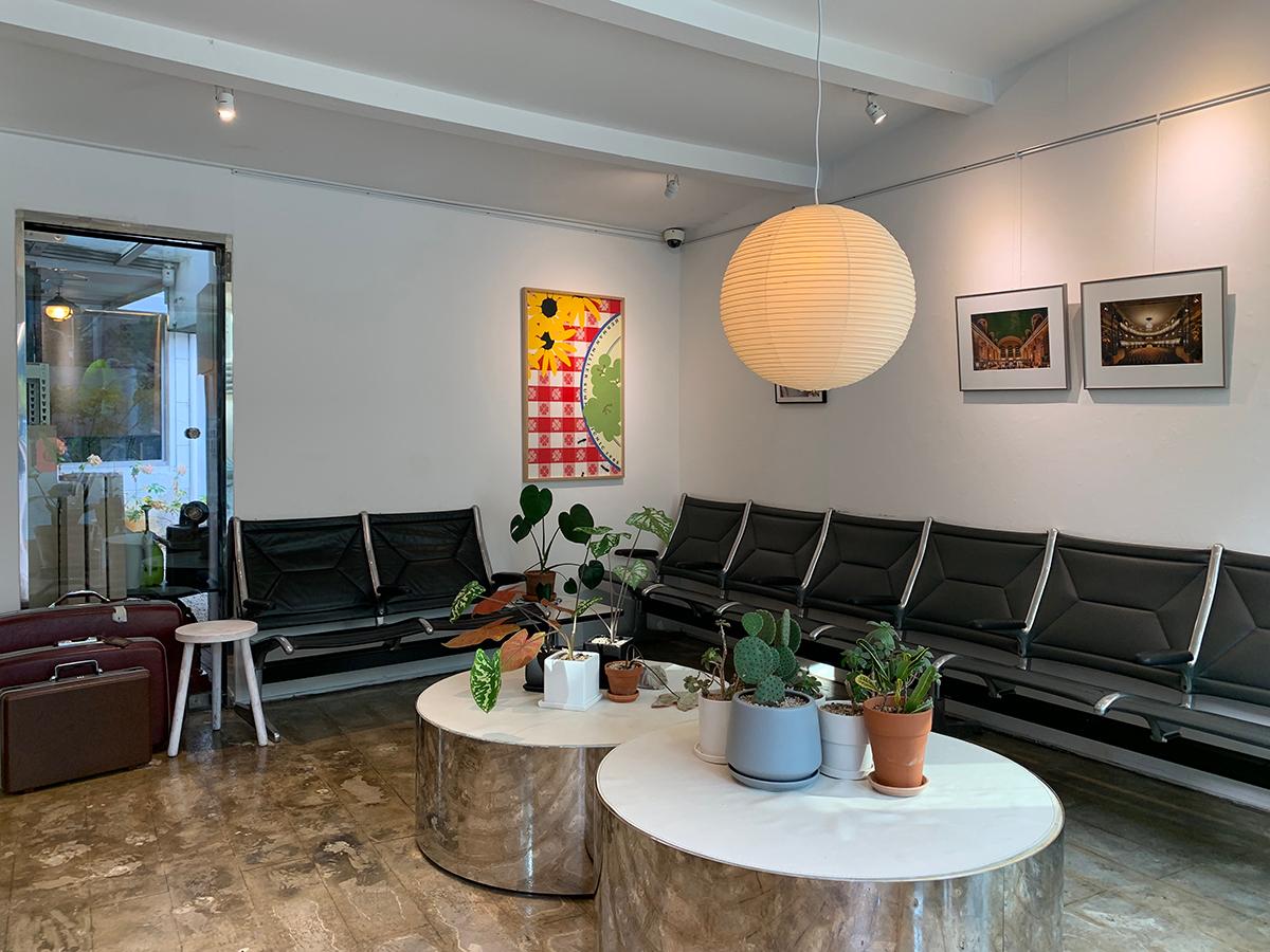 ソウル、仁寺洞、仁寺洞カフェ、Ivy House Seoul、蔦、緑、安国