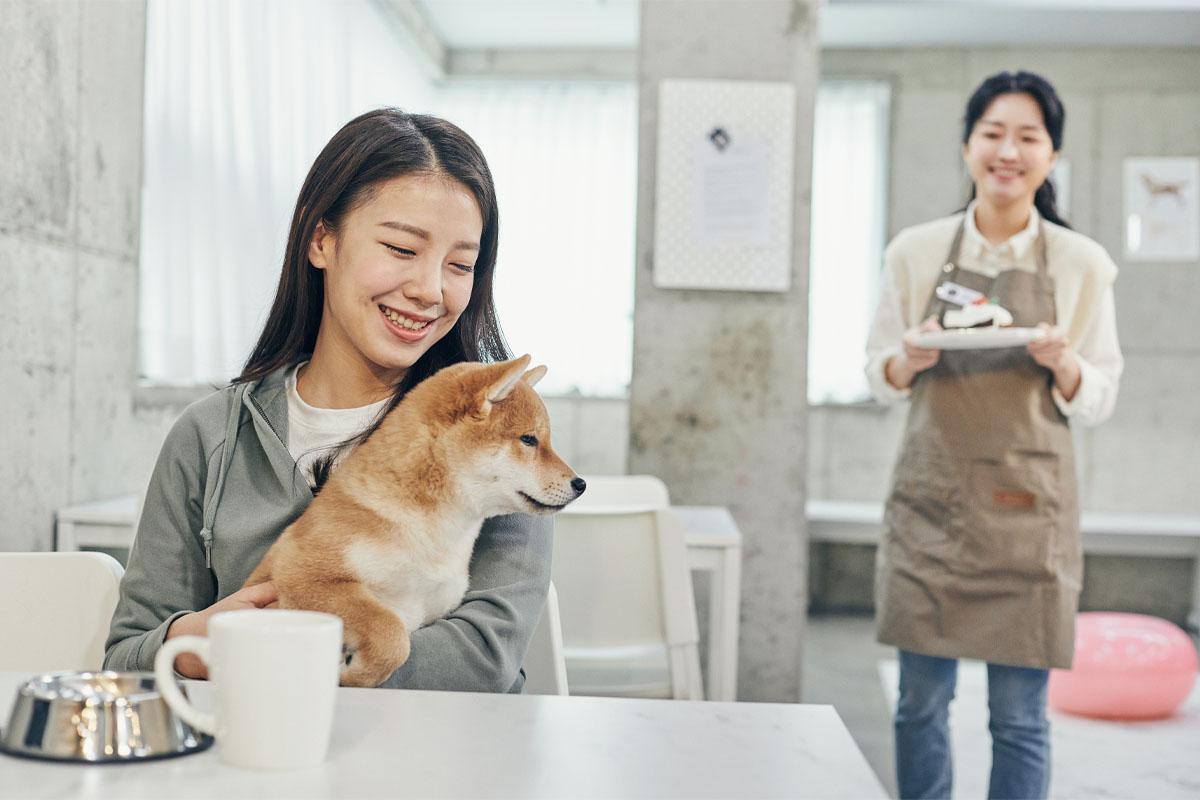 thú cưng, cafe thú cưng