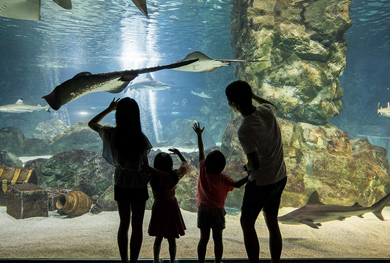 韓国、韓国旅行、ソウル、ソウル旅行、韓国ツアー、韓国アクティビティ