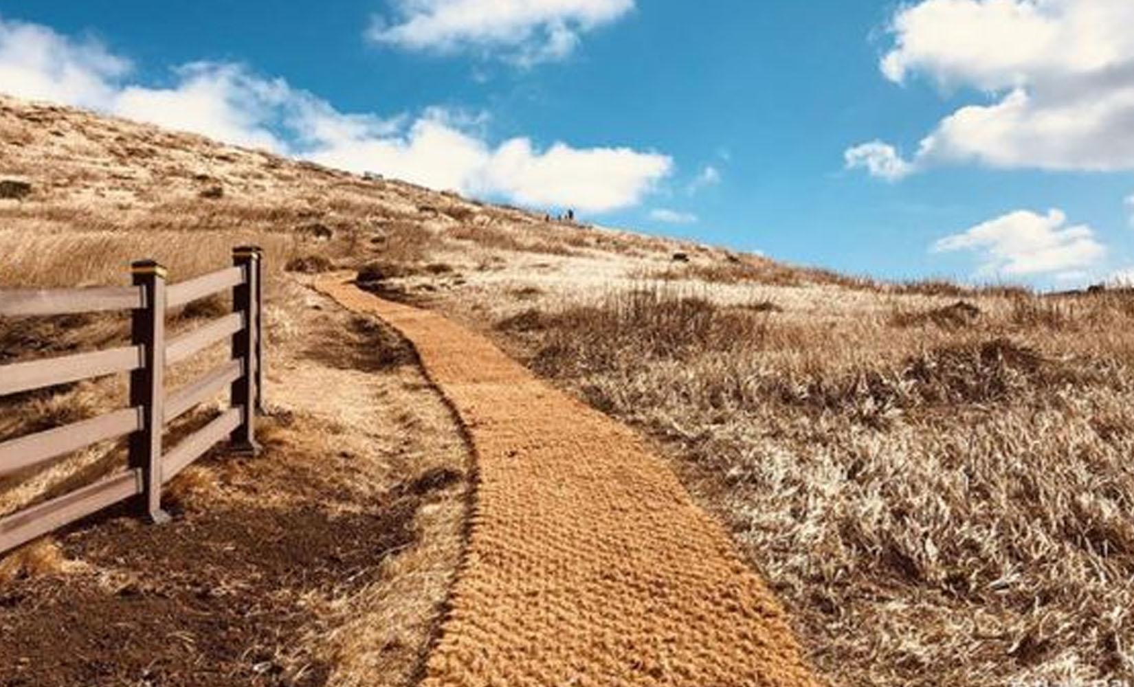 代訂｜濟州偶來小路同礦石之旅6日5夜