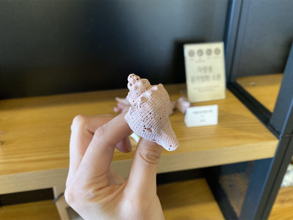 Main tenant une sculpture de coquillage en basalte dans le magasin de souvenirs du café Caisson 24.