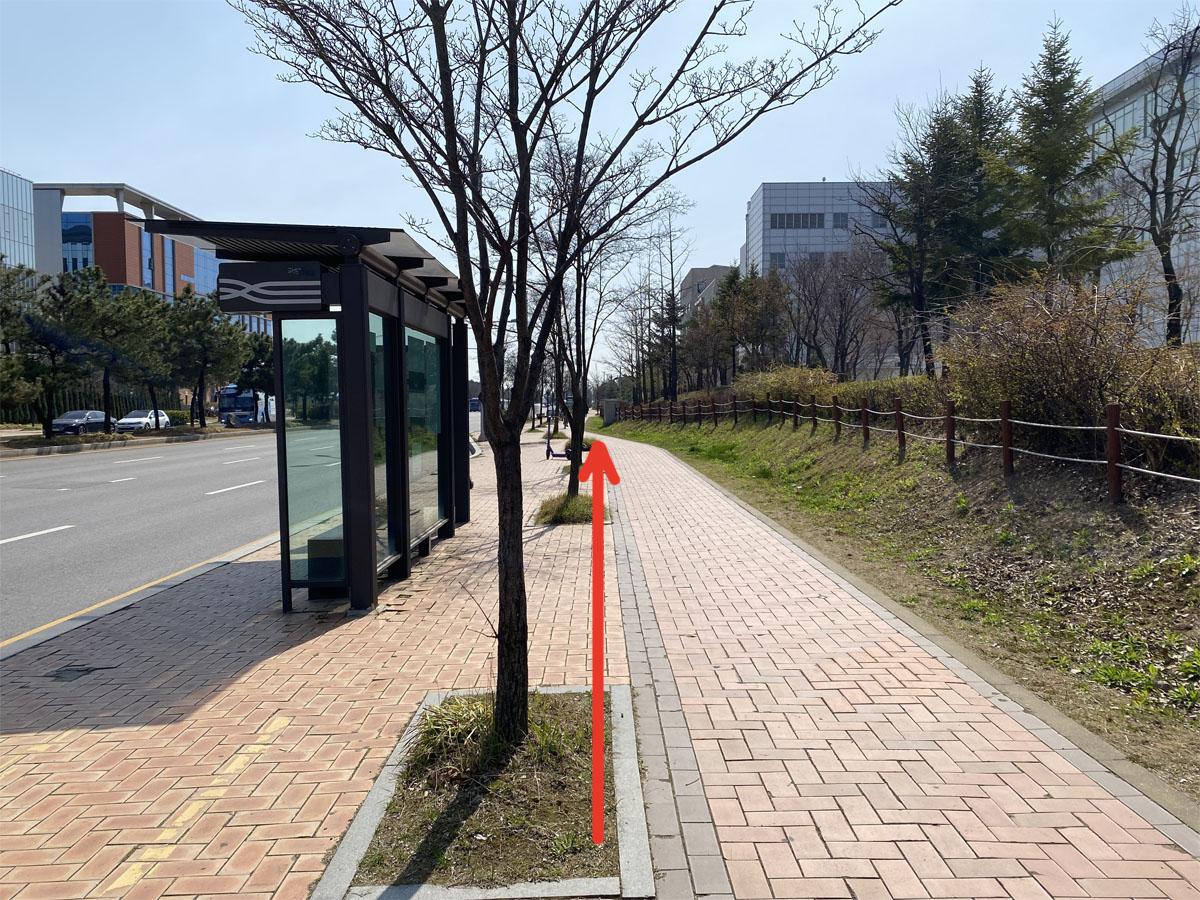 Rue bordée d'arbres menant au Caisson 24 avec un arrêt de bus à gauche.