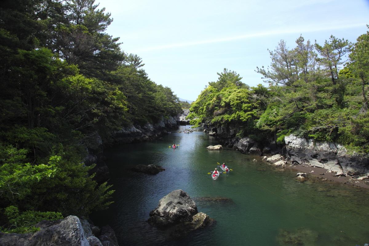 Üppiger grüner Wald und klares Wasser am Soesokkak Estuary auf Jeju Island, ideal für Erholung und Erkundung.