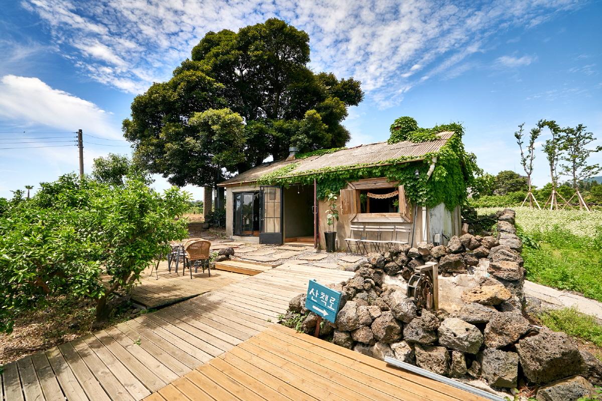 Ein idyllisches Café mit grünen Pflanzen und rustikalem Charme auf Jeju Island.