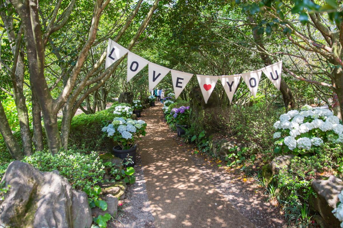 Камеллиа Хилл хүрээлэнд агаарт өлгөөтэй 'LOVE YOU' бичээстэй, өгүүлбэрийн үйл үг бүхий бүсэлхэнүүд өвсний зам дээр байдаг.