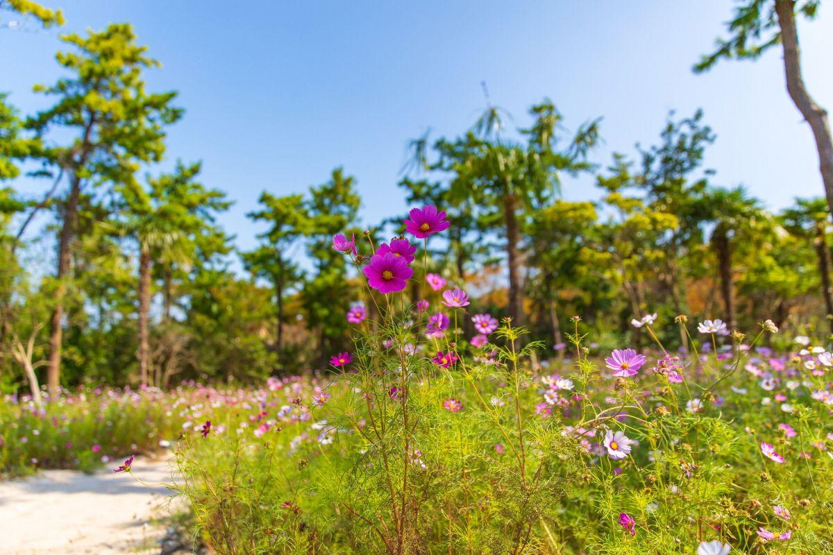 công viên Hallim Park