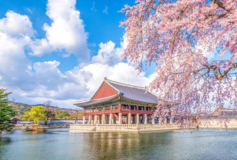 Creatrip: ソウル観光地のエリア別特徴まとめ - ソウル/韓国 (旅行情報)