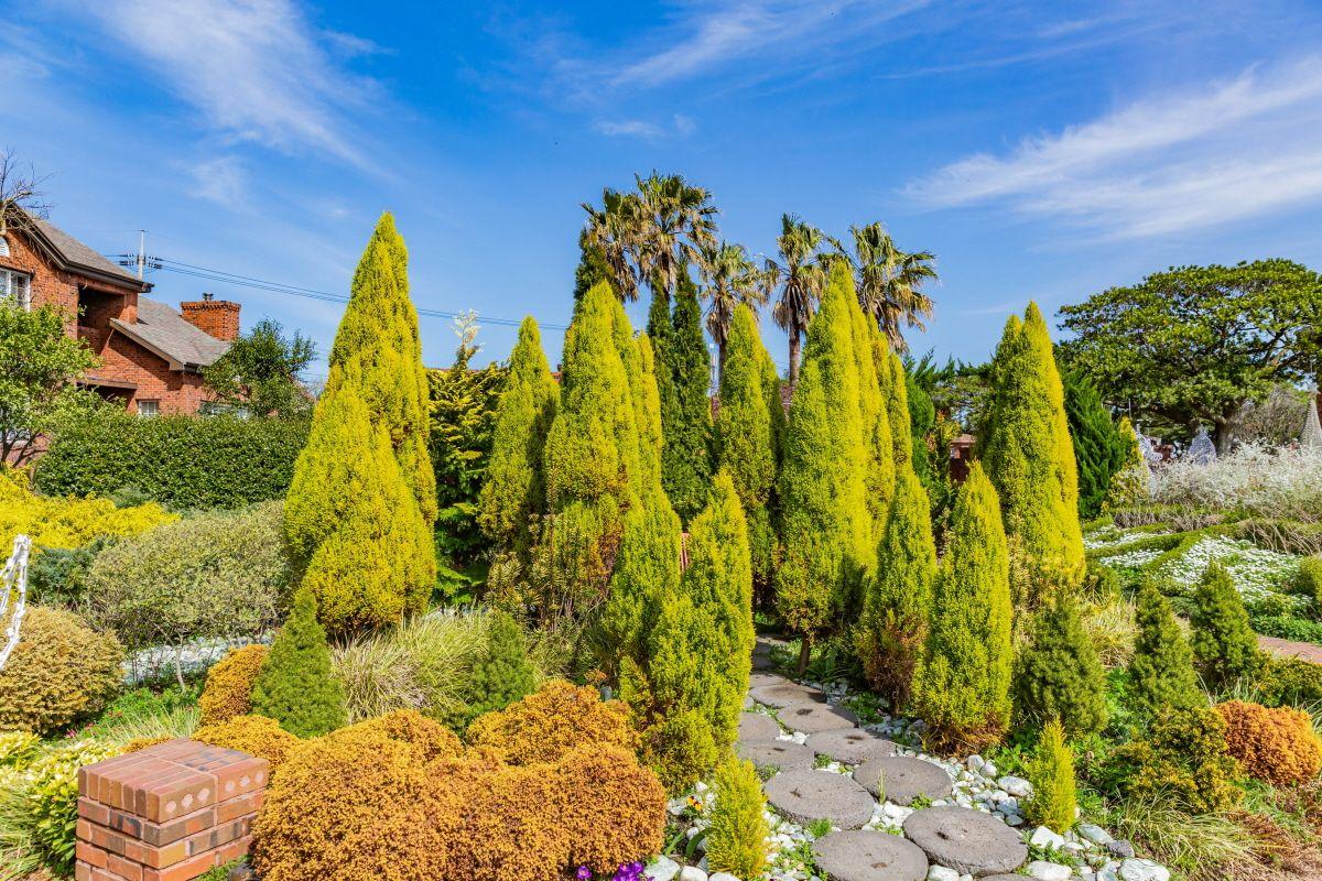 vườn thảo mộc Herb Dongsan tại Jeju